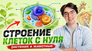 Строение клеток растений и животных с НУЛЯ I Биология 5, 6 класс I Онлайн-школа «Умскул»