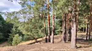 Дела рутубные. Комментарии, просмотры...