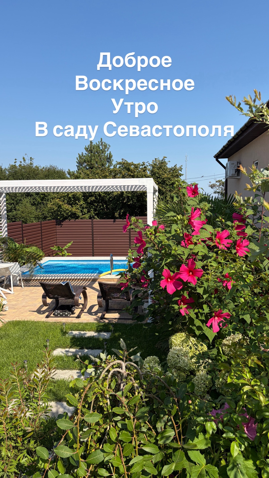Доброе воскресное утро в саду Севастополя - цветение роз, гортензий, лапчатки и Адениума