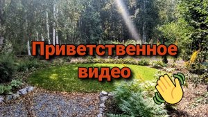 Приветственное видео