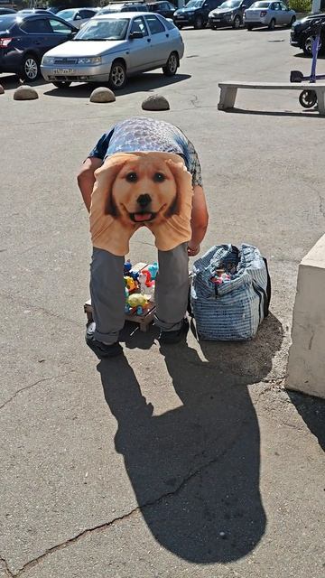 Собачки
