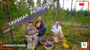 Грибная разведка 08 августа 2026. Приозерский район.