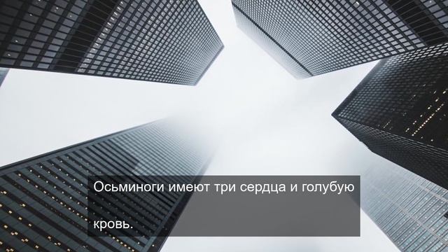 Жизненный путь тяжелого цветка 7