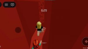 играю в FL