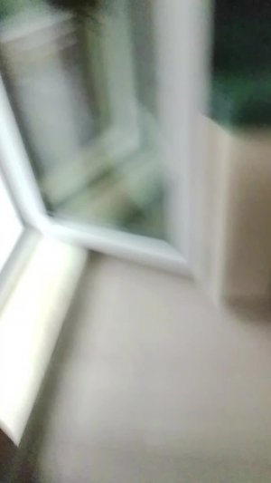 у меня дома птица !!!!!