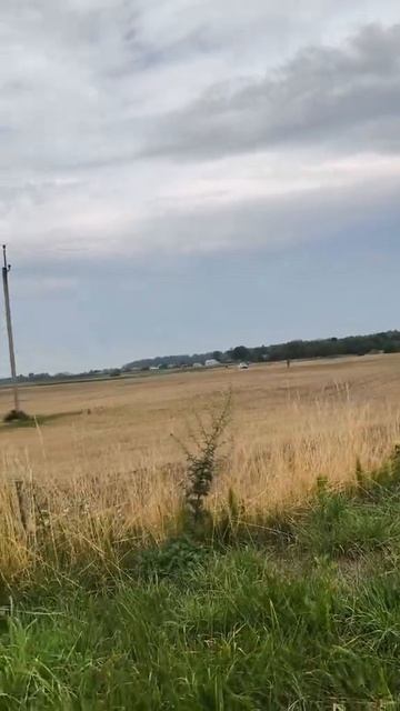Украинское сафари около Буск на Львовщине.