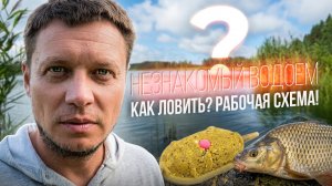 Флэт-фидер на незнакомом платнике — минимум снастей, рабочая прикормка и осознанный подход-