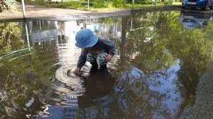 Рома гуляет, 9.08.2026
