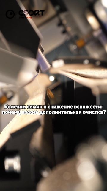 🌱 Болезни семян и снижение всхожести: почему важна дополнительная очистка?