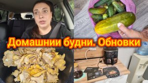 Домашние будни. Обновки. Урожай пропал 😨 Готовлю вкусноту в заморозку.
