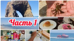 ДВЕ НЕДЕЛИ ОТПУСКА В КРЫМУ/СЕЛО БЕРЕГОВОЕ/13-27.06.26/ ЧАСТЬ 1