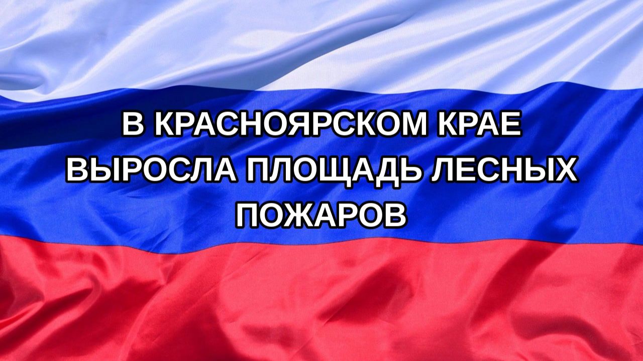 |Н. РФ| В Красноярском крае выросла площадь лесных пожаров