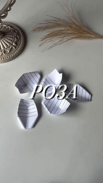 lv_0_20260808145317