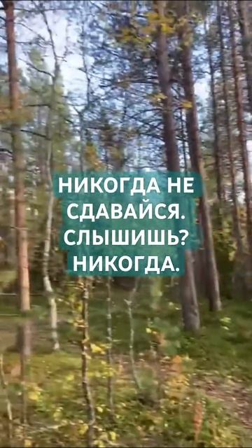 НИКОГДА