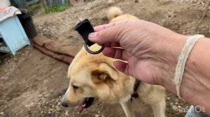 Надвигается новый ливень ,мы этого не выдержим