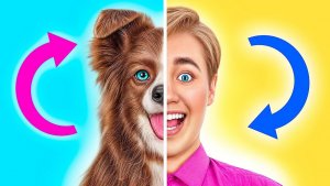 Обмен Телами _ Я и Мой Щенок Поменялись Телами