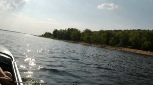 Поймал двух судаков