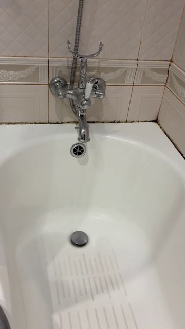 Удаление грибка плесени