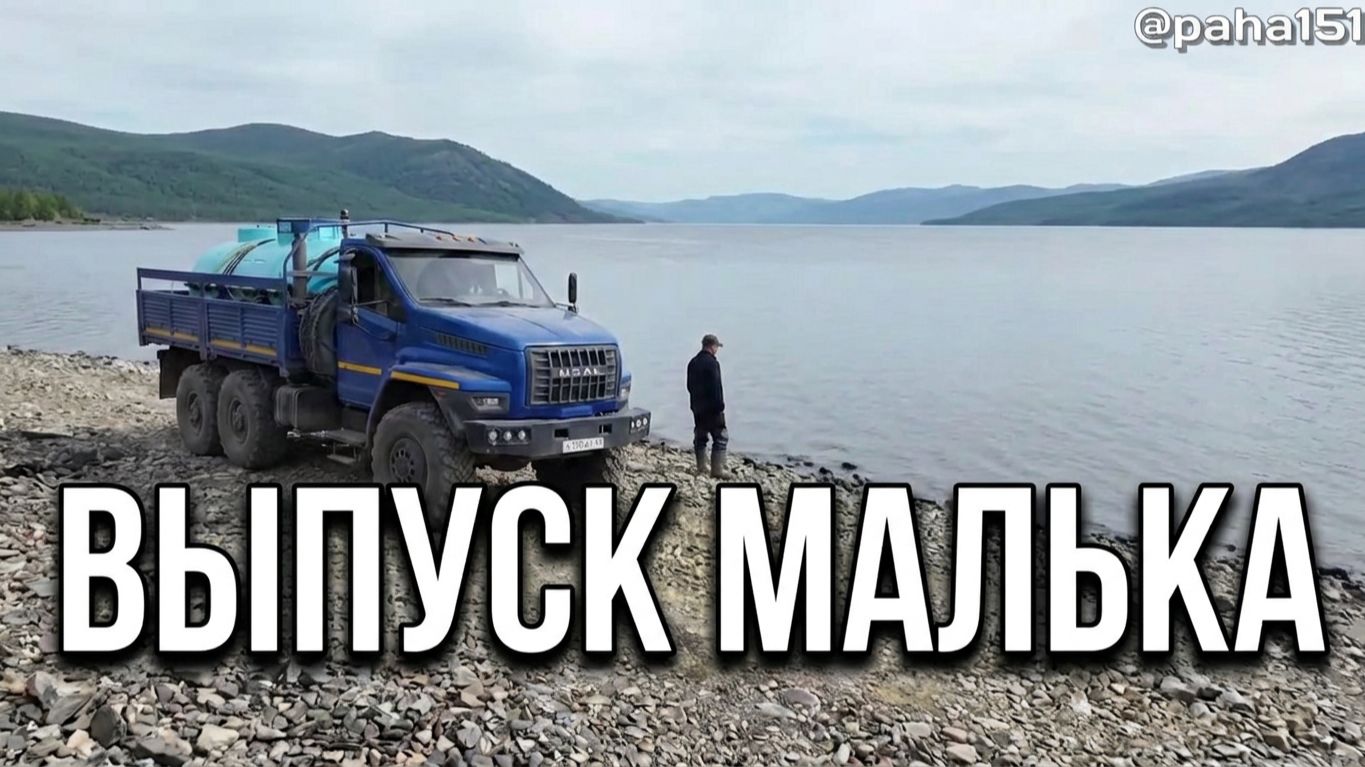 Выпуск малька // Колымское водохранилище