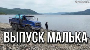 Выпуск малька // Колымское водохранилище