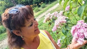 Светлана Синченко  «Безбрежное лето, звенящее» (музыка и слова Ирины Скибиной)
