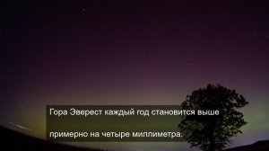 Безусталые пения птиц 2