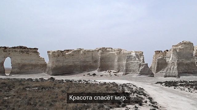 Жизненный путь тяжелого цветка 12