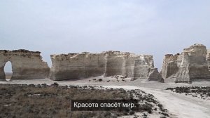 Жизненный путь тяжелого цветка 12