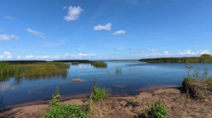 Мартышкино, орган и морской берег превращающийся в болото.