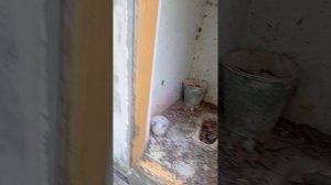 Заброшенные деревянные домики у моря в с.Угловое, КРЫМ