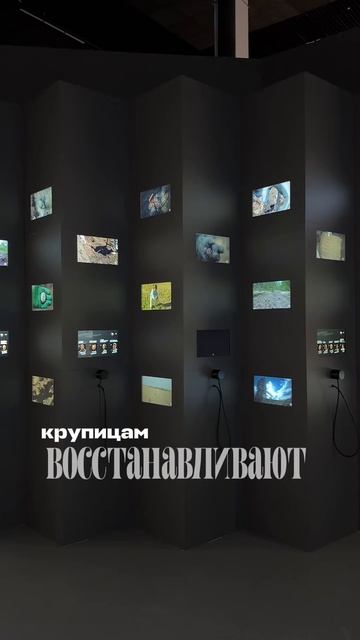 Copy_EEFE9F6E-FCF2-44B5-A969-5A8F8EFB052D