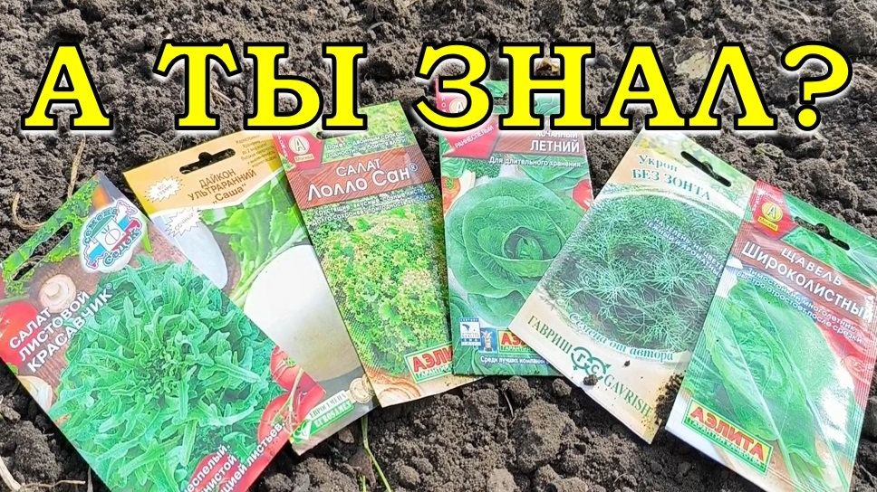 17 культур которые можно посеять в АВГУСТЕ🔥🔥🔥