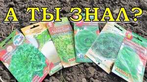 17 культур которые можно посеять в АВГУСТЕ🔥🔥🔥