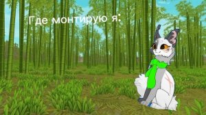 Где монтирую я:))
