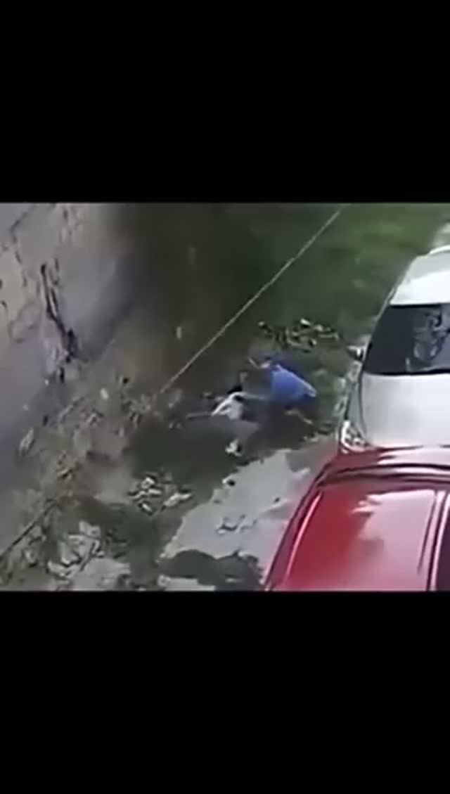 Просто посмотрите
