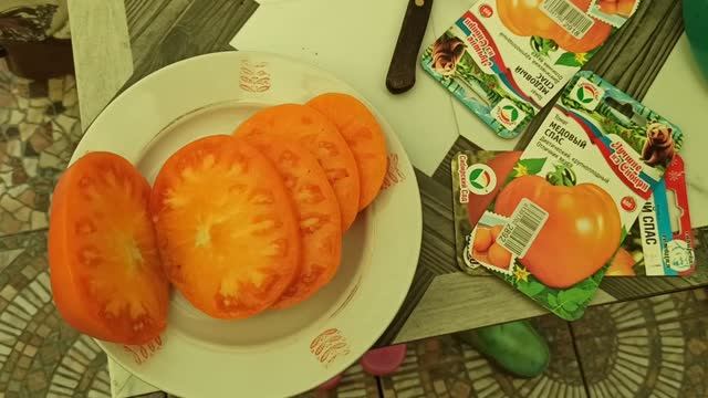 Сад и огород
