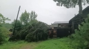 В селе Нижний Шкафт ураган повалил деревья и оборвал провода!