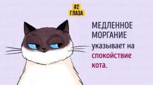 Смешные видео, юмор и приколы