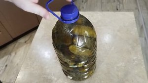 Холодный способ! Хрустящие квашенные огурцы на зиму! Без УКСУСА, САХАРА и СТЕРИЛИЗАЦИИ!