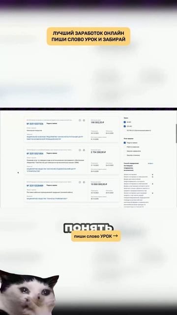 Ниша для IT в тендерах