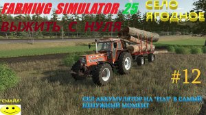 FARMING SIMULATOR 25 Выжить с нуля, карта село Ягодное