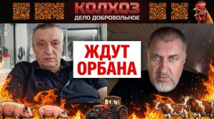 «Молодёжь начинает прозревать«Почему венгры ждут возвращения Орбана