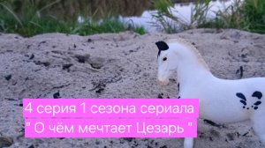 4 серия 1 сезона сериала « О чём мечтает Цезарь «