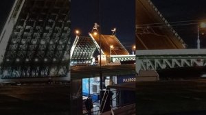 Разведение дворцового моста в Санкт-Петербурге