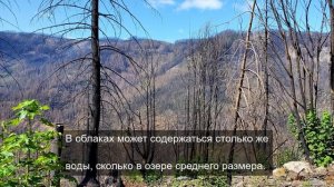Шум моря в ушах 4