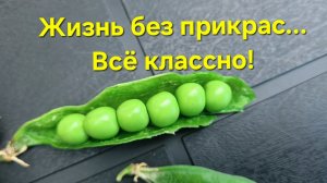 #влог Ожидала хуже и меньше!🧅Ностальгия🏡Спасаю кастрюлю🧼#обзор#совет