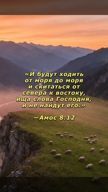 1000031429.mp4христианский канал