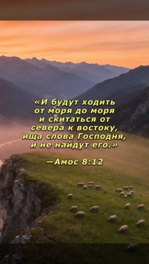 1000031429.mp4христианский канал