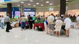 Фитомаркет Пенза! Наш стол с тыквами 😁ТРК Коллаж, 9 августа 2026 г.