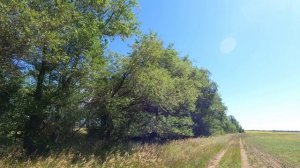 Покатушки на природу №63. (Часть №2.) 😊